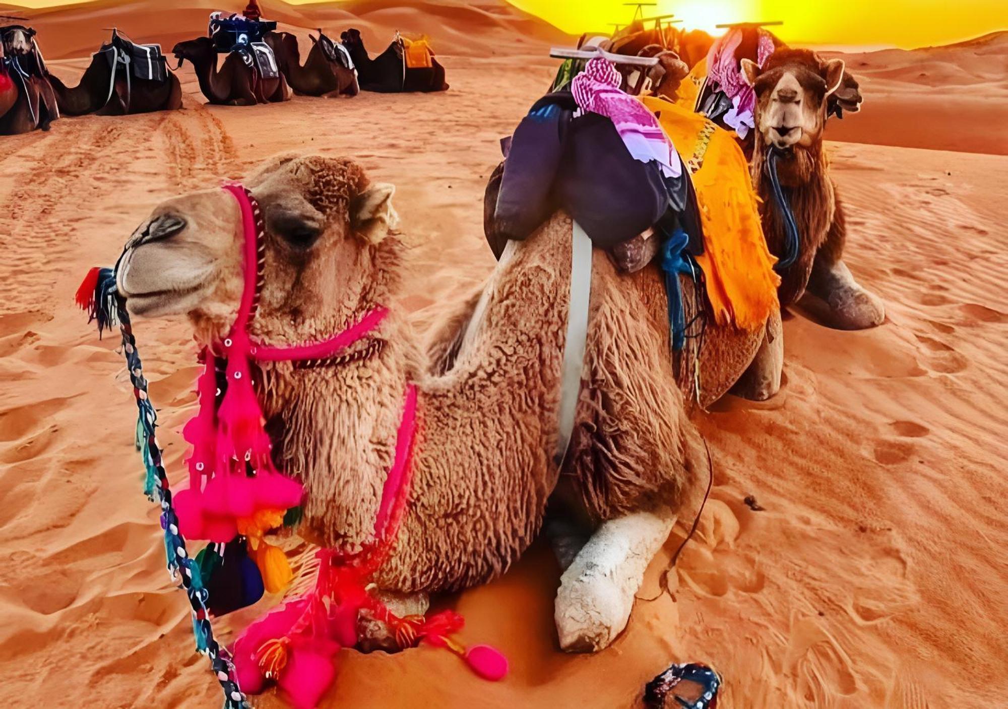 Merzouga Luxurious Tented Exteriér fotografie